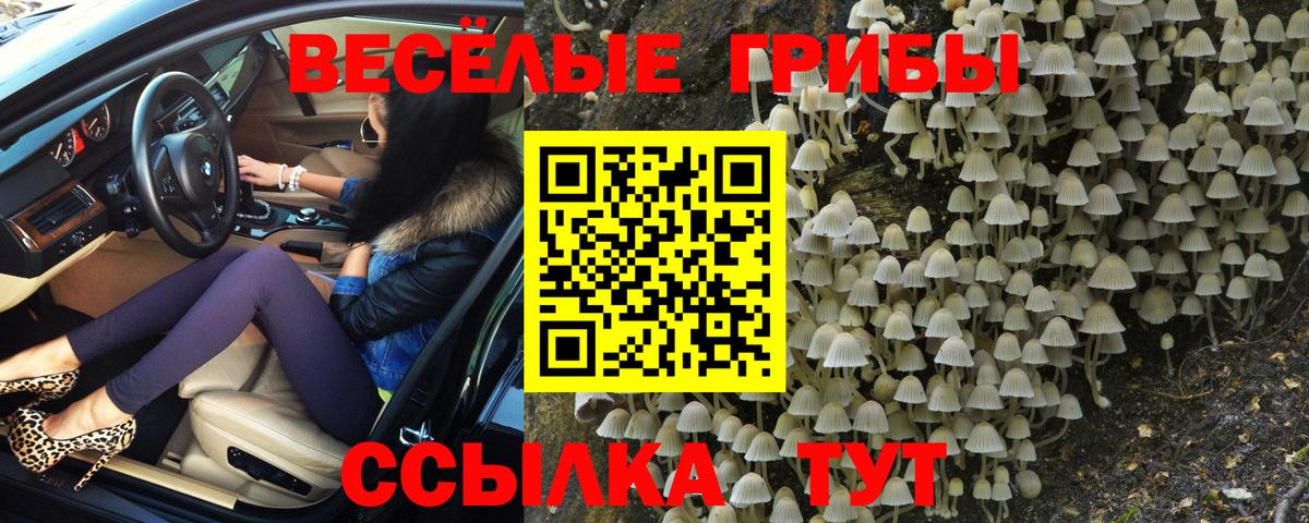Галлюциногенные грибы мухоморы  Вход с VPN  Елизово 